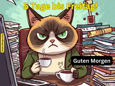 Lustiges Montag Bild