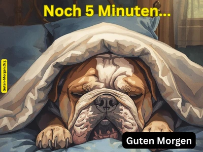 Lustiges Guten Morgen Bild - Verschlafener Hund