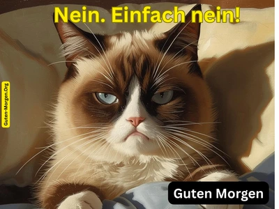 Lustiges Guten Morgen Bild - Grumpy Cat