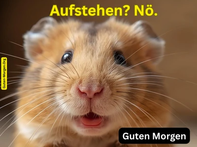 Lustiges Guten Morgen Bild - Fauler Hamster