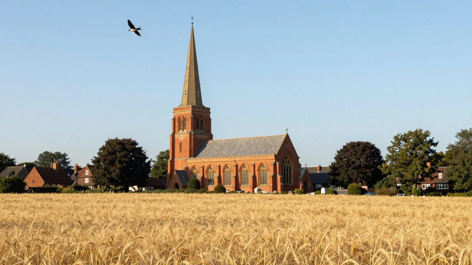 Rote Backsteinkirche mit schlankem Turm hinter einem reifen Weizenfeld an einem klaren Sommersonntagmorgen, Schwalben am blauen Himmel