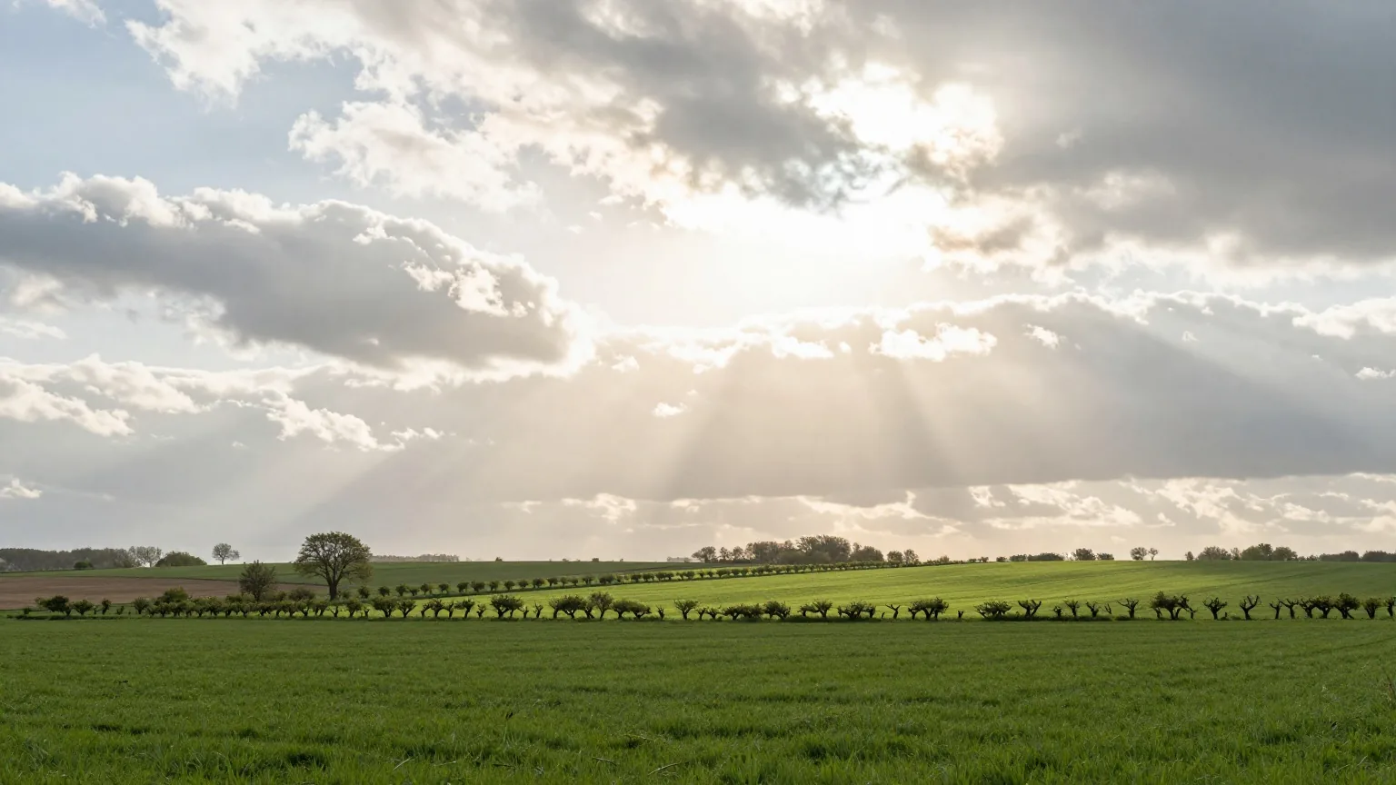 Sonnenstrahlen brechen durch hohe weiße Wolken über einer weiten grünen Feld- und Heckenlandschaft am frühen Morgen