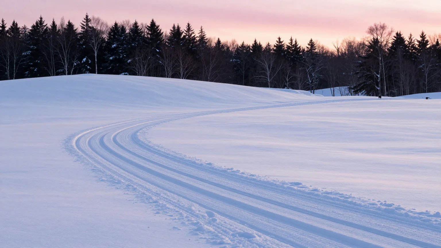 Loipenspuren ziehen sich bei Sonnenaufgang über einen unberührten verschneiten Hang, dahinter ein dunkler Waldrand und zartrosa Winterhimmel