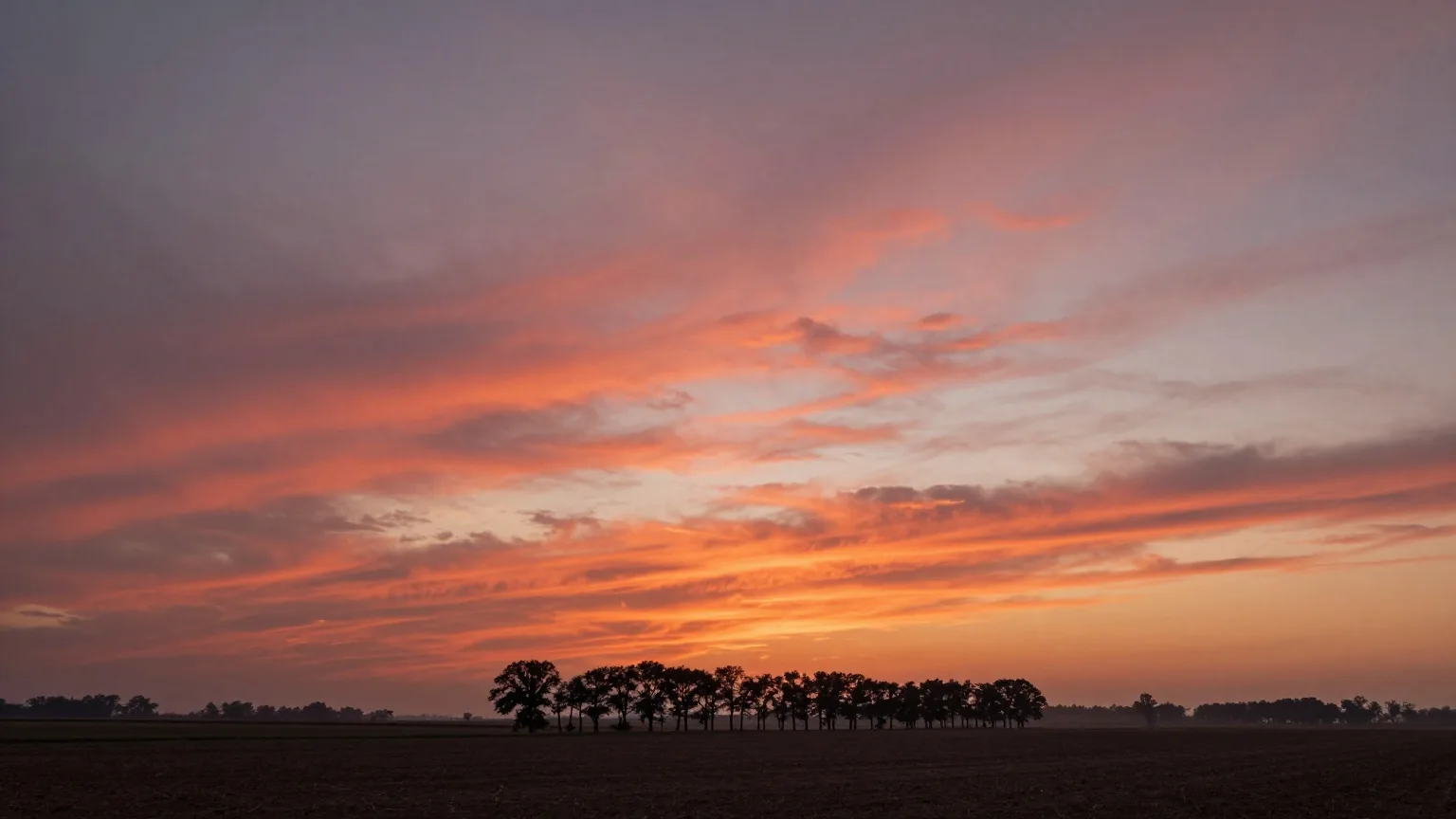 Glühend roter Morgenhimmel mit hohen Schäfchenwolken über Feldern und einer Baumreihe, die Sonne steht knapp unter dem Horizont