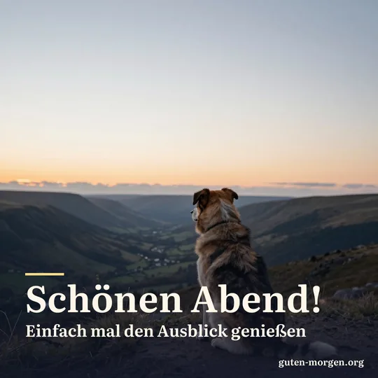 Ein Hund sitzt, von hinten gesehen, bei Sonnenuntergang auf einem Hügel und schaut über ein weites Tal; Schrift: „Schönen Abend! Einfach mal den Ausblick genießen“