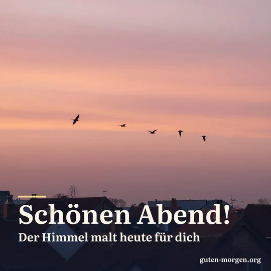 Schwalben fliegen bei Sonnenuntergang über die Dächer eines Dorfes, der Himmel leuchtet rosa und orange; Schrift: „Schönen Abend! Der Himmel malt heute für dich“