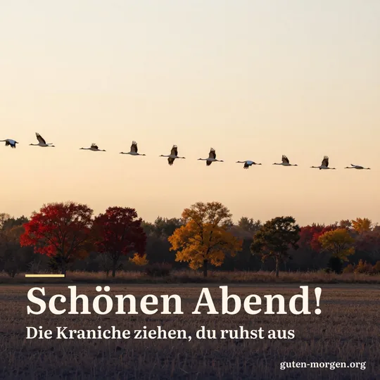 Ein Schwarm Kraniche fliegt in Formation über ein abgeerntetes Feld im herbstlichen Abendrot, am Feldrand bunte Bäume; Schrift: „Schönen Abend! Die Kraniche ziehen, du ruhst aus“