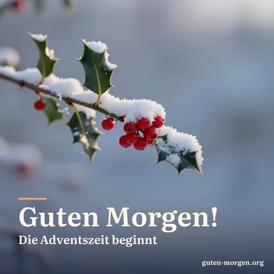 Leicht verschneiter Stechpalmenzweig mit leuchtend roten Beeren im ersten Morgenlicht vor weichem blauem Hintergrund; Schrift: „Guten Morgen! Die Adventszeit beginnt“