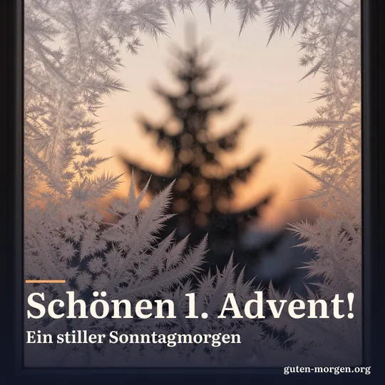 Eisblumen an einer Fensterscheibe leuchten im ersten orangen Licht des Sonnenaufgangs, dahinter die dunkle Silhouette einer Tanne; Schrift: „Schönen 1. Advent! Ein stiller Sonntagmorgen“