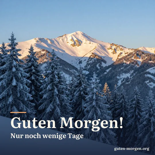Verschneite Tannen an einem Berghang bei Sonnenaufgang, tiefblaue Schatten und goldenes Licht auf den Gipfeln; Schrift: „Guten Morgen! Nur noch wenige Tage“