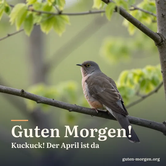 Ein Kuckuck sitzt rufend auf einem Ast am Rand eines Frühlingswaldes im frühen Morgenlicht; Schrift: „Guten Morgen! Kuckuck! Der April ist da“
