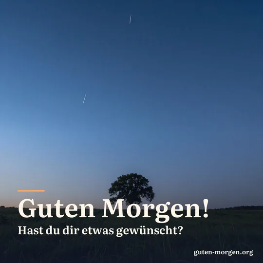 Mehrere Sternschnuppen am tiefblauen Himmel vor der Morgendämmerung über einer stillen Wiese mit einzelnem Baum; Schrift: „Guten Morgen! Hast du dir etwas gewünscht?“