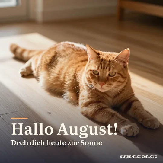 Eine rote Katze streckt sich genüsslich in einem warmen Morgensonnenstrahl auf dem Holzboden, Staub glitzert im Licht; Schrift: „Hallo August! Dreh dich heute zur Sonne“