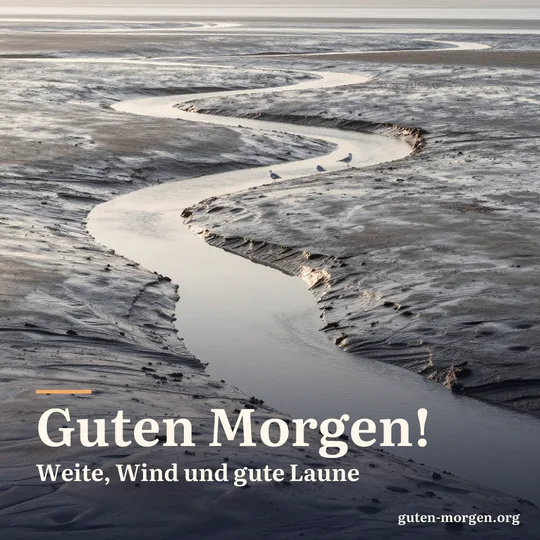 Wattenmeer bei Ebbe und Sonnenaufgang, glitzernde Priele schlängeln sich durch den nassen Sand, einige Möwen stehen im flachen Wasser; Schrift: "Guten Morgen! Weite, Wind und gute Laune"