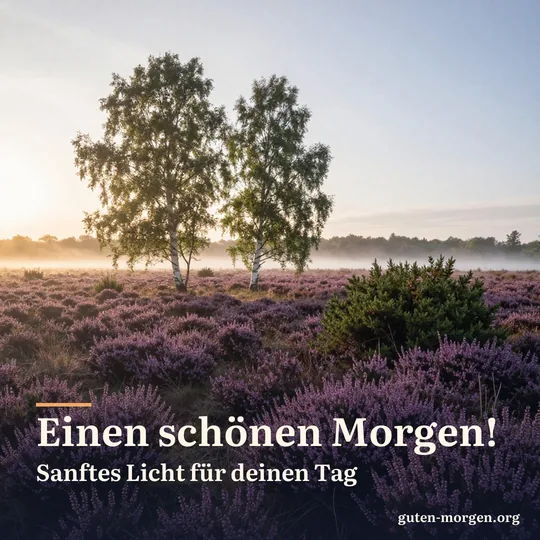 Heidelandschaft mit blühendem lila Heidekraut, Birken und Wacholder bei Sonnenaufgang mit leichtem Bodennebel; Schrift: "Einen schönen Morgen! Sanftes Licht für deinen Tag"