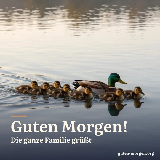 Entenmutter mit einer Reihe flauschiger Küken auf einem stillen Teich bei Sonnenaufgang; Schrift: "Guten Morgen! Die ganze Familie grüßt"