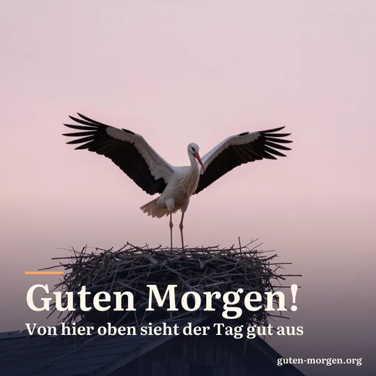 Weißstorch steht mit leicht geöffneten Flügeln auf seinem Nest auf einem Scheunendach vor rosa Morgenhimmel; Schrift: "Guten Morgen! Von hier oben sieht der Tag gut aus"