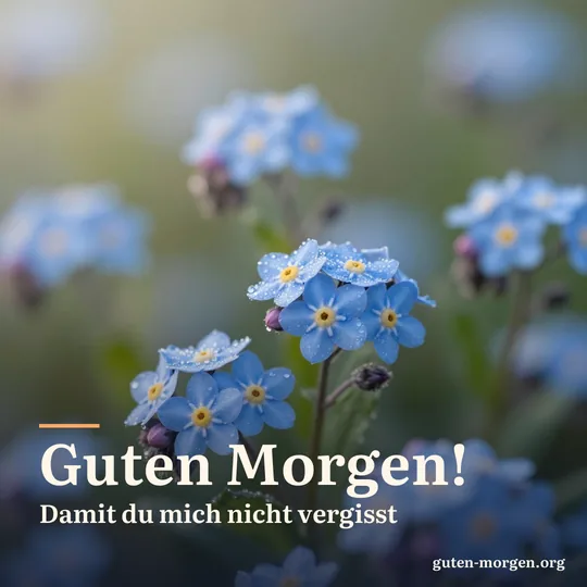 Nahaufnahme winziger himmelblauer Vergissmeinnichtblüten voller Tau in der frühen Morgensonne; Schrift: „Guten Morgen! Damit du mich nicht vergisst“