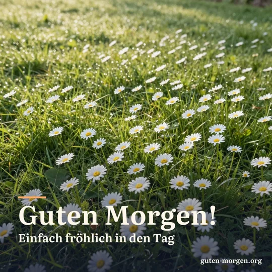 Rasen voller Gänseblümchen, die sich in der Morgensonne öffnen, glitzernder Tau; Schrift: „Guten Morgen! Einfach fröhlich in den Tag“
