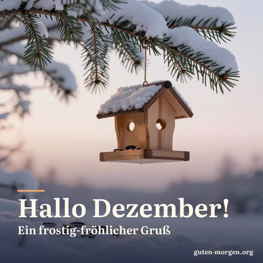 Kleines hölzernes Vogelhäuschen hängt an einem verschneiten Tannenzweig bei Sonnenaufgang, ein paar Sonnenblumenkerne im frischen Schnee; Schrift: „Hallo Dezember! Ein frostig-fröhlicher Gruß“