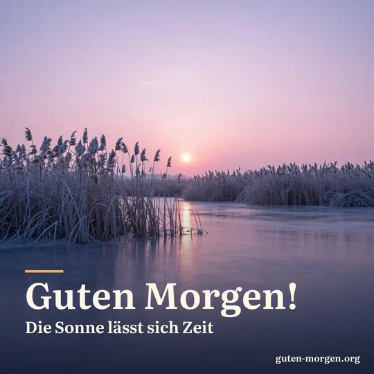 Zugefrorener Teich mit bereiftem Schilf bei Sonnenaufgang, rosa-violetter Winterhimmel spiegelt sich im Eis; Schrift: „Guten Morgen! Die Sonne lässt sich Zeit“