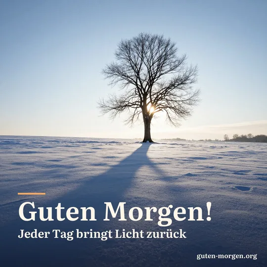 Tief stehende Wintersonne über verschneiten Feldern, ein kahler Baum wirft einen langen blauen Schatten; Schrift: „Guten Morgen! Jeder Tag bringt Licht zurück“