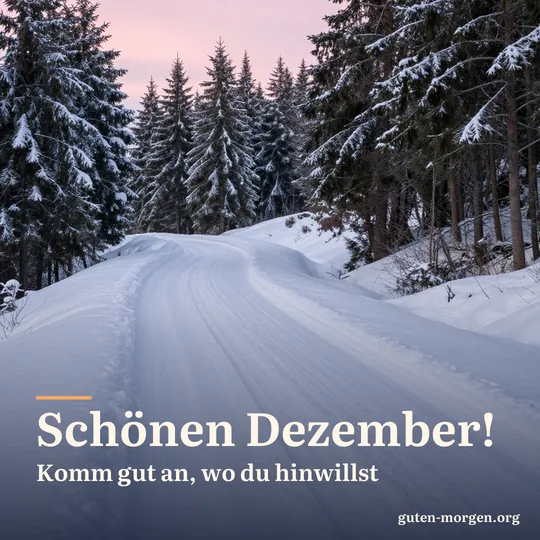 Verschneite, kurvige Landstraße zwischen Tannen bei Sonnenaufgang, frische Reifenspuren im Schnee und rosa Licht auf den Baumwipfeln; Schrift: „Schönen Dezember! Komm gut an, wo du hinwillst“