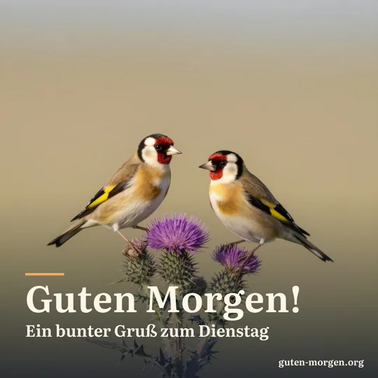 Zwei Stieglitze sitzen auf einer lila Distel im sanften Morgenlicht, dahinter eine verschwommene Wiese; Schrift: „Guten Morgen! Ein bunter Gruß zum Dienstag“