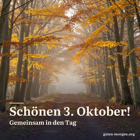 Zwei Waldwege laufen unter goldenen Herbstbuchen zu einem breiten Weg zusammen, leichter Morgennebel und warmes, tiefes Sonnenlicht; Schrift: „Schönen 3. Oktober! Gemeinsam in den Tag“
