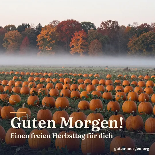 Reihen orangefarbener Kürbisse auf einem Feld bei Sonnenaufgang, Herbstnebel und eine Reihe bunter Bäume in der Ferne; Schrift: „Guten Morgen! Einen freien Herbsttag für dich“