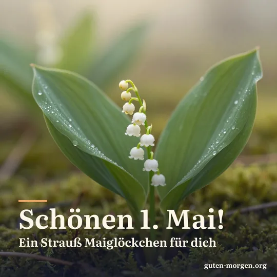 Maiglöckchen mit Tautropfen auf moosigem Boden im weichen Morgenlicht; Schrift: „Schönen 1. Mai! Ein Strauß Maiglöckchen für dich“