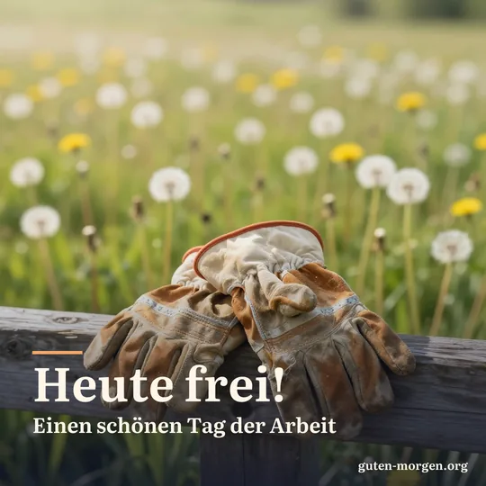 Abgetragene Arbeitshandschuhe liegen auf einem Zaunpfosten, dahinter eine Löwenzahnwiese in der Morgensonne; Schrift: „Heute frei! Einen schönen Tag der Arbeit“