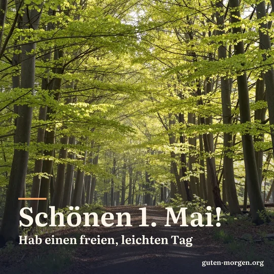 Waldweg durch einen Buchenwald mit hellgrünem Frühlingslaub, Sonnenstrahlen fallen schräg durch die Bäume; Schrift: „Schönen 1. Mai! Hab einen freien, leichten Tag“
