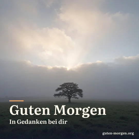 Sonnenstrahlen brechen durch weiche Wolken über einer nebligen Wiese im Morgengrauen, am Horizont ein einzelner alter Baum; Schrift: „Guten Morgen“ und „In Gedanken bei dir“