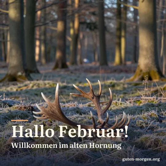 Eine abgeworfene Geweihstange eines Rothirschs liegt auf bereiftem Moos im Winterwald; Schrift: „Hallo Februar! Willkommen im alten Hornung“