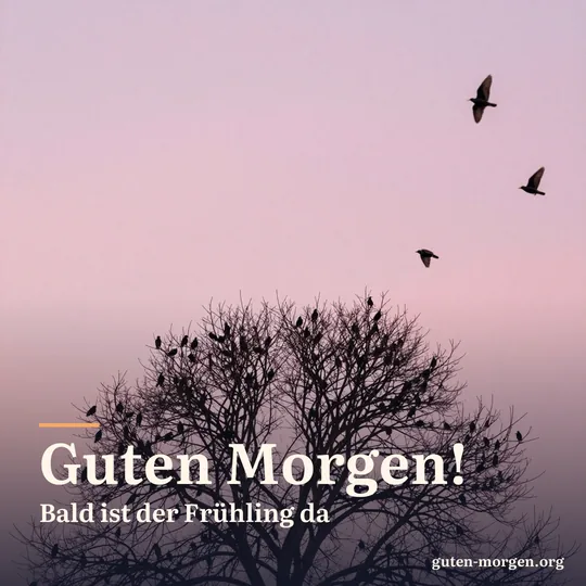 Ein Schwarm Stare sitzt in einem kahlen Baum vor rosa Morgenhimmel, weitere fliegen heran; Schrift: „Guten Morgen! Bald ist der Frühling da“