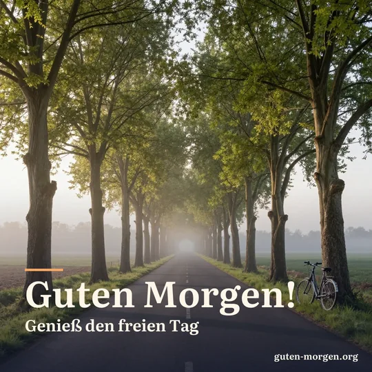 Fahrrad lehnt an einer Linde an einer leeren Landstraße, Morgennebel über den Feldern; Schrift: „Guten Morgen! Genieß den freien Tag“