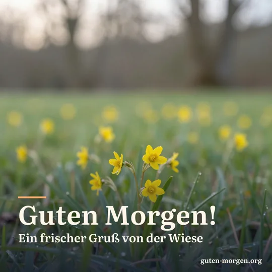 Gelbe Schlüsselblumen auf einer taufrischen Frühlingswiese, aus Bodenhöhe im weichen Morgenlicht; Schrift: „Guten Morgen! Ein frischer Gruß von der Wiese“
