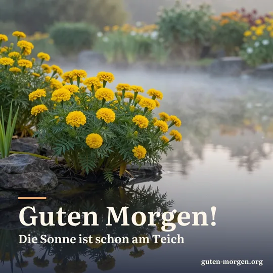 Goldgelbe Sumpfdotterblumen blühen am Rand eines kleinen Gartenteichs bei Sonnenaufgang; Schrift: „Guten Morgen! Die Sonne ist schon am Teich“