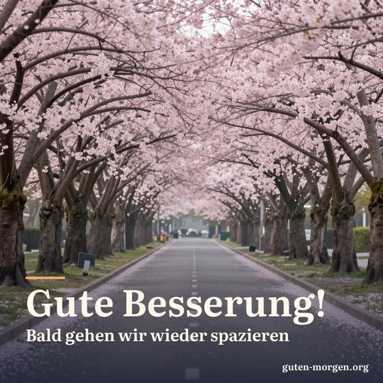 Allee aus blühenden Kirschbäumen in einem Park, rosa Blütenblätter auf dem Weg, frühes Morgenlicht; Schrift: „Gute Besserung! Bald gehen wir wieder spazieren“