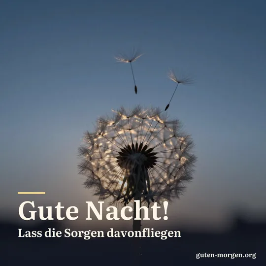 Pusteblume in der späten Dämmerung, einzelne Schirmchen fliegen in den dunkelblauen Himmel; Schrift: „Gute Nacht! Lass die Sorgen davonfliegen“