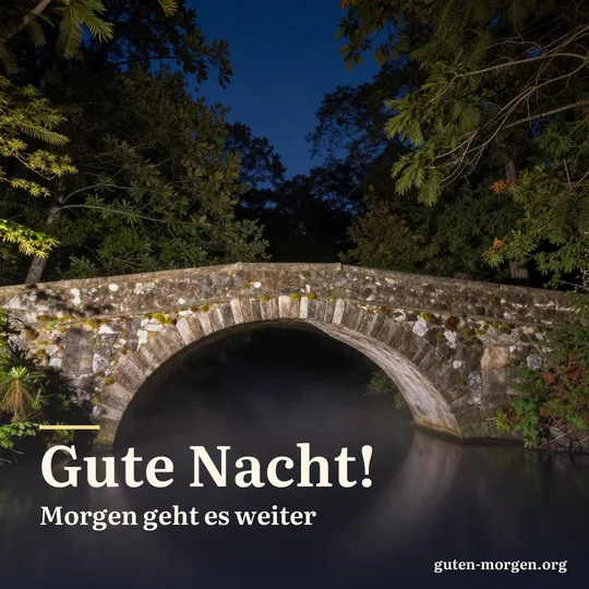 Alte Steinbogenbrücke über einem Waldbach bei Nacht, Nebel über dem Wasser, zwischen den Baumkronen Sterne; Schrift: „Gute Nacht! Morgen geht es weiter“