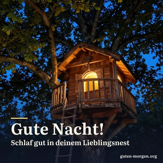 Holzbaumhaus in einer alten Buche leuchtet nachts warm, eine Strickleiter hängt herab, zwischen den Ästen Sterne; Schrift: „Gute Nacht! Schlaf gut in deinem Lieblingsnest“