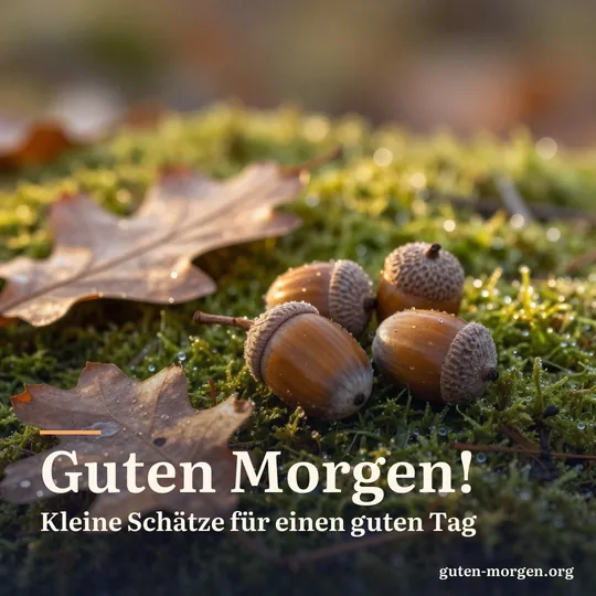 Eicheln und Eichenlaub auf taunassem Moos im seitlichen Licht der tiefen Herbstsonne; Schrift: „Guten Morgen! Kleine Schätze für einen guten Tag“