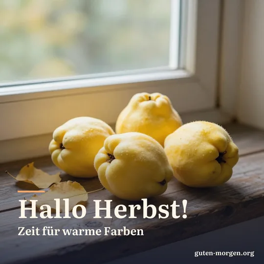 Goldgelbe Quitten auf einer verwitterten hölzernen Fensterbank in der Herbstmorgensonne; Schrift: „Hallo Herbst! Zeit für warme Farben“