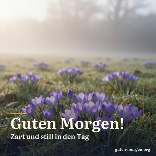 Blassviolette Herbstzeitlose blühen auf einer nebligen Wiese bei Sonnenaufgang; Schrift: „Guten Morgen! Zart und still in den Tag“