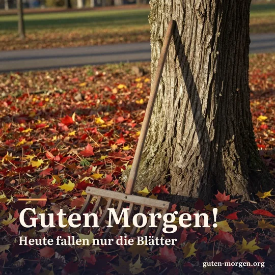 Ein hölzerner Rechen lehnt an einem alten Baum neben einem großen Haufen aus rotem und gelbem Laub; Schrift: „Guten Morgen! Heute fallen nur die Blätter“