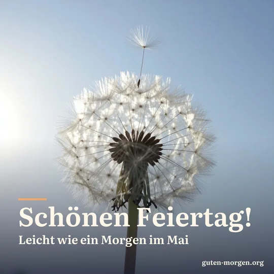 Pusteblume, deren Samen im Gegenlicht der Morgensonne davonfliegen; Schrift: „Schönen Feiertag! Leicht wie ein Morgen im Mai“