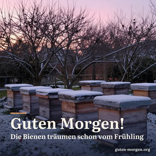 Verschneite hölzerne Bienenkästen in einem stillen Garten bei Sonnenaufgang, dahinter kahle Obstbäume; Schrift: „Guten Morgen! Die Bienen träumen schon vom Frühling“