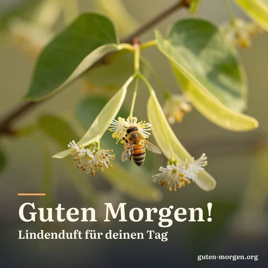 Lindenblüten mit einer Honigbiene, warmes Morgenlicht scheint durch herzförmige Blätter; Schrift: „Guten Morgen! Lindenduft für deinen Tag“